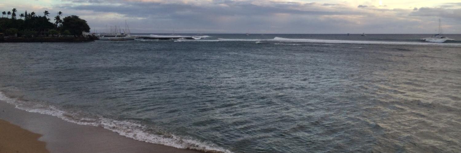 ramblasink's profile banner image