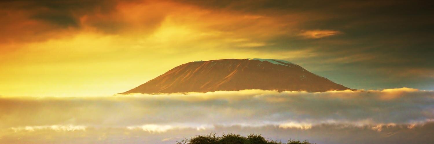 naazp's profile banner image
