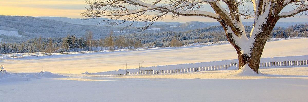 savemesavemeow's profile banner image