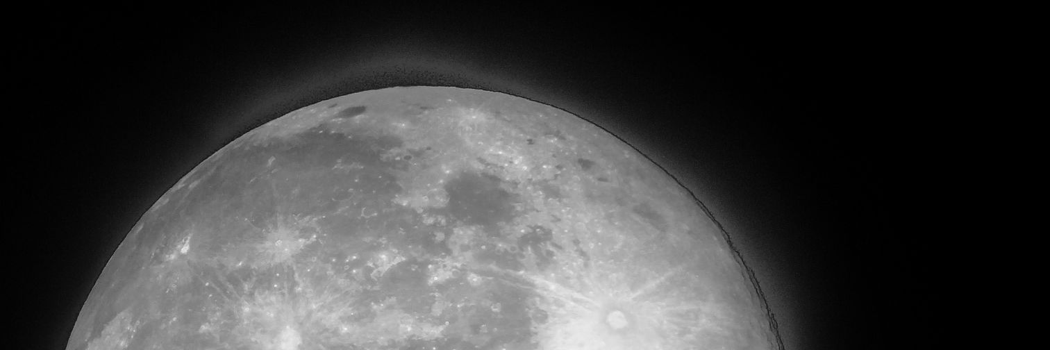 Clare Kenyon 🌟💋 banner