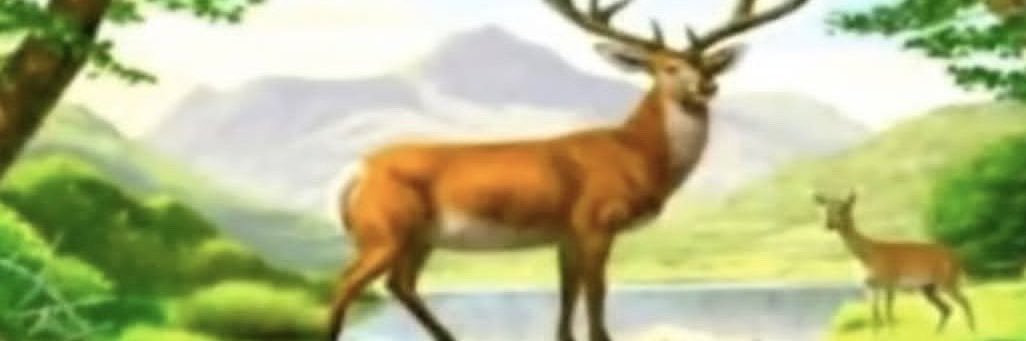 w0dl4's profile banner image