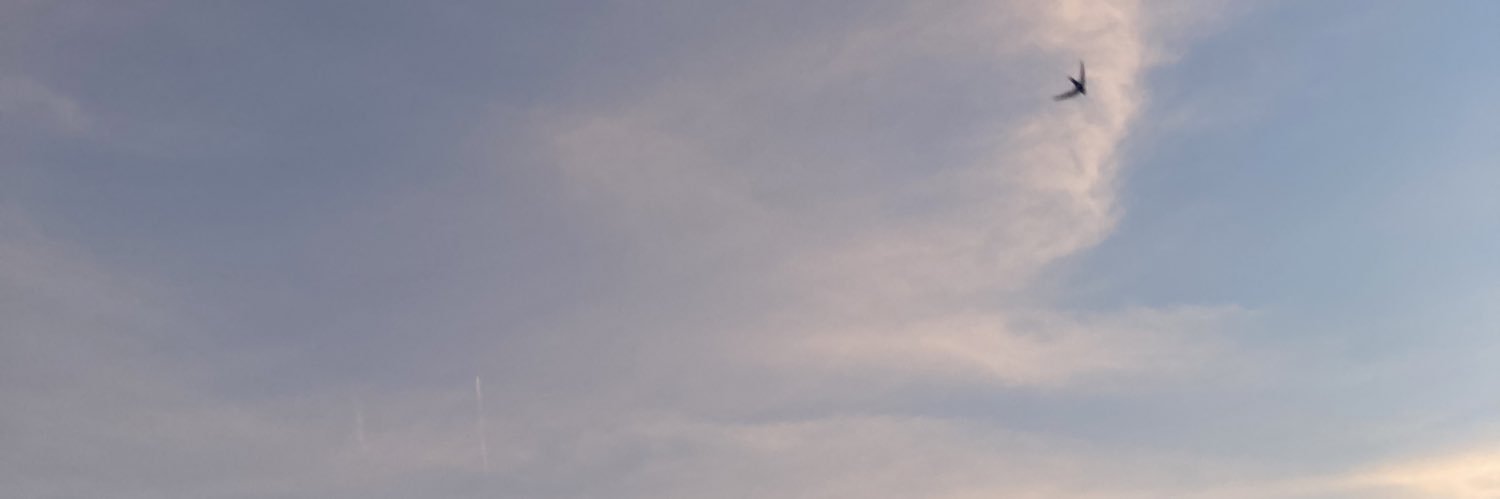 raquel banner
