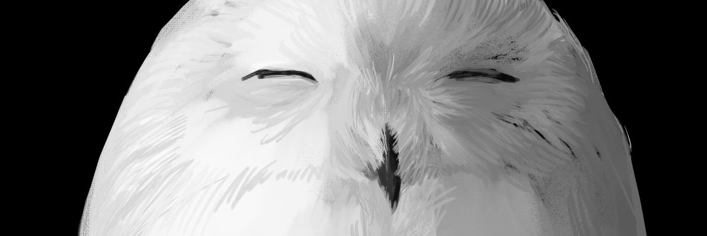 ooaco banner