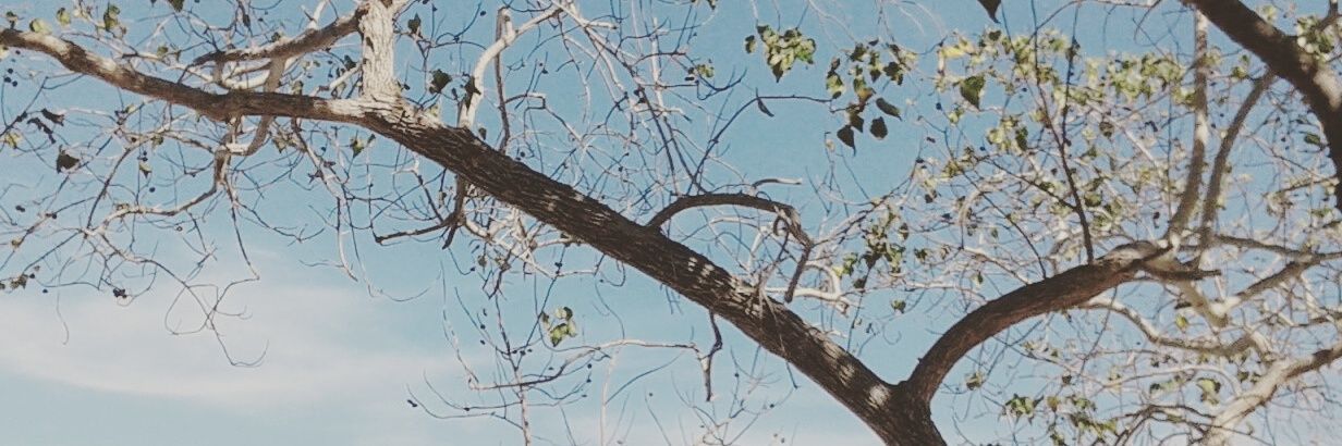kintansasti's profile banner image