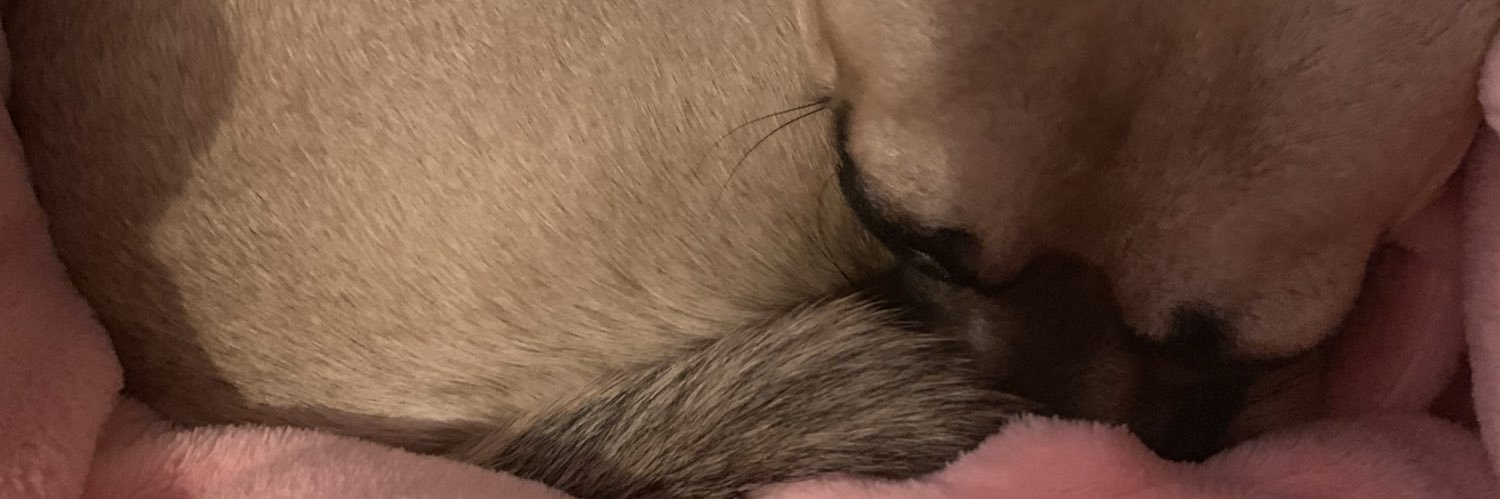 stephlong11's profile banner image