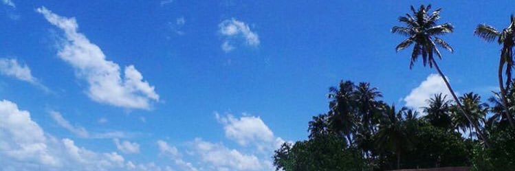 AIM_Researcher's profile banner image