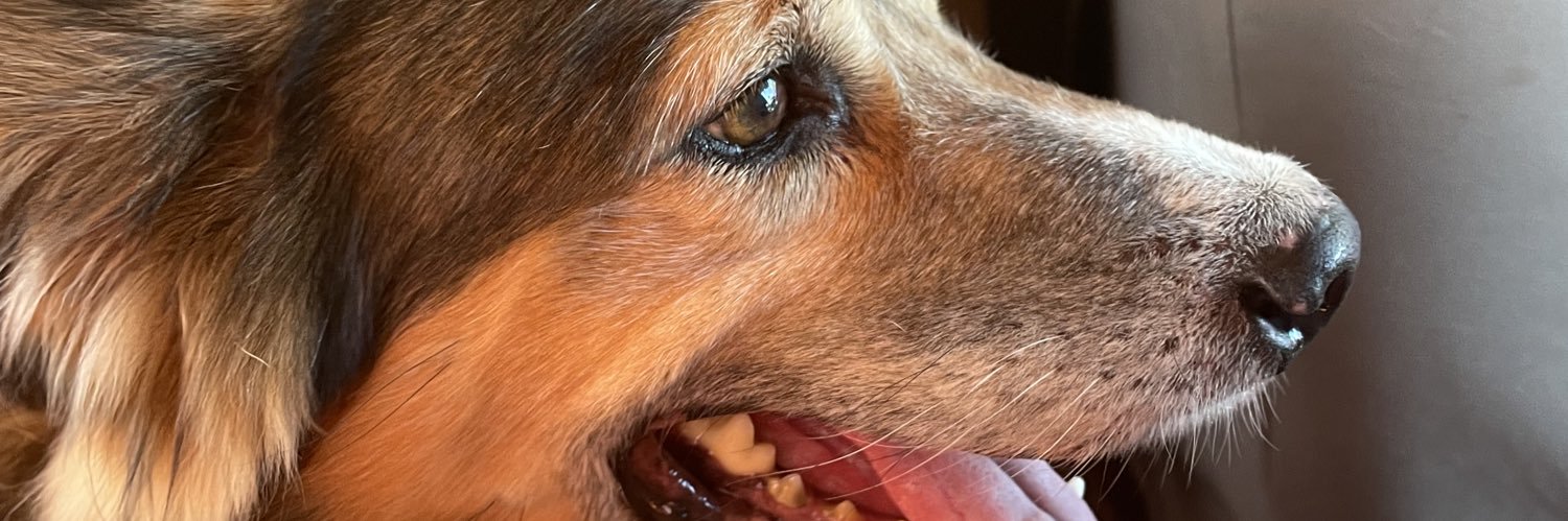 luadaughter's profile banner image