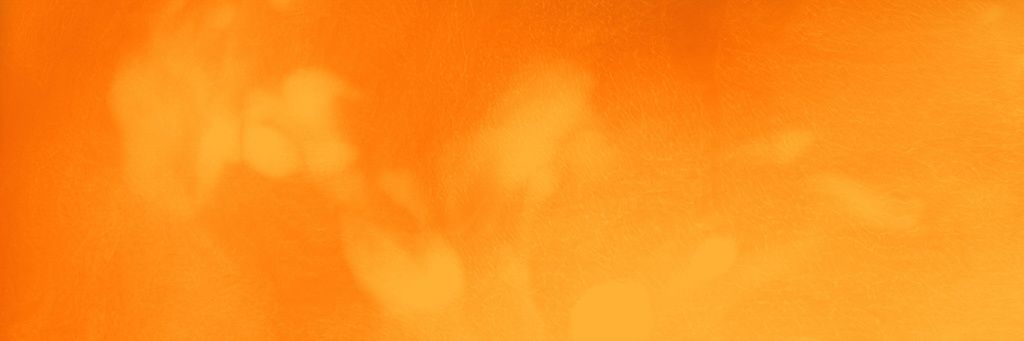 kao168's profile banner image