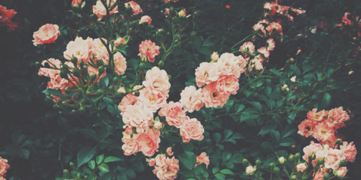 LorenceJane's profile banner image