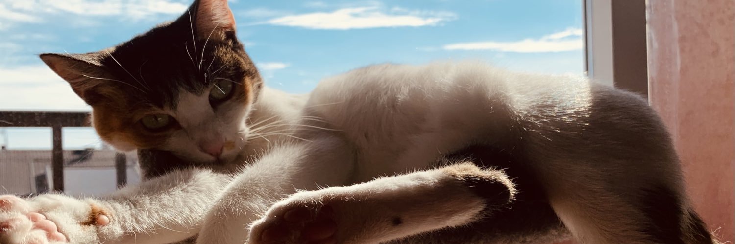 franghuapo's profile banner image