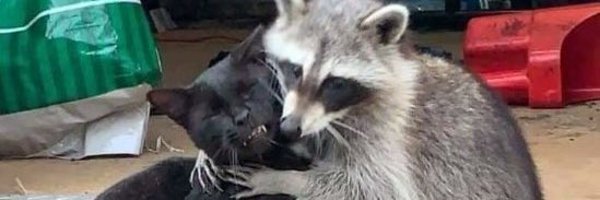 anarchyseung Profile Banner