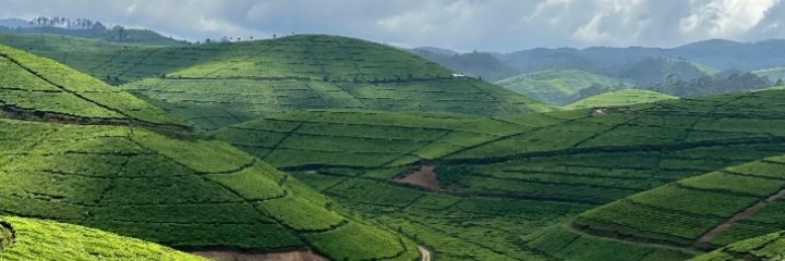 UWAMARIYAPLACID's profile banner image