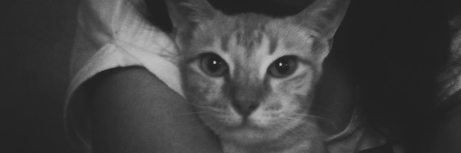 anasxtacia's profile banner image