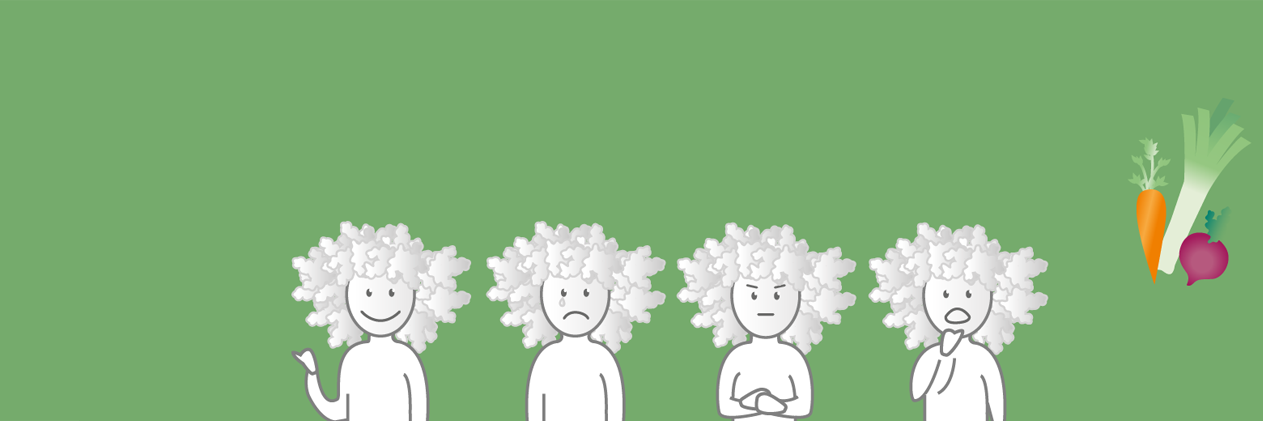 Liesbeth Oerlemans MSc banner