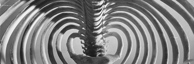 🍑𝑴𝒊𝒐𝒉𝒎🐄 banner