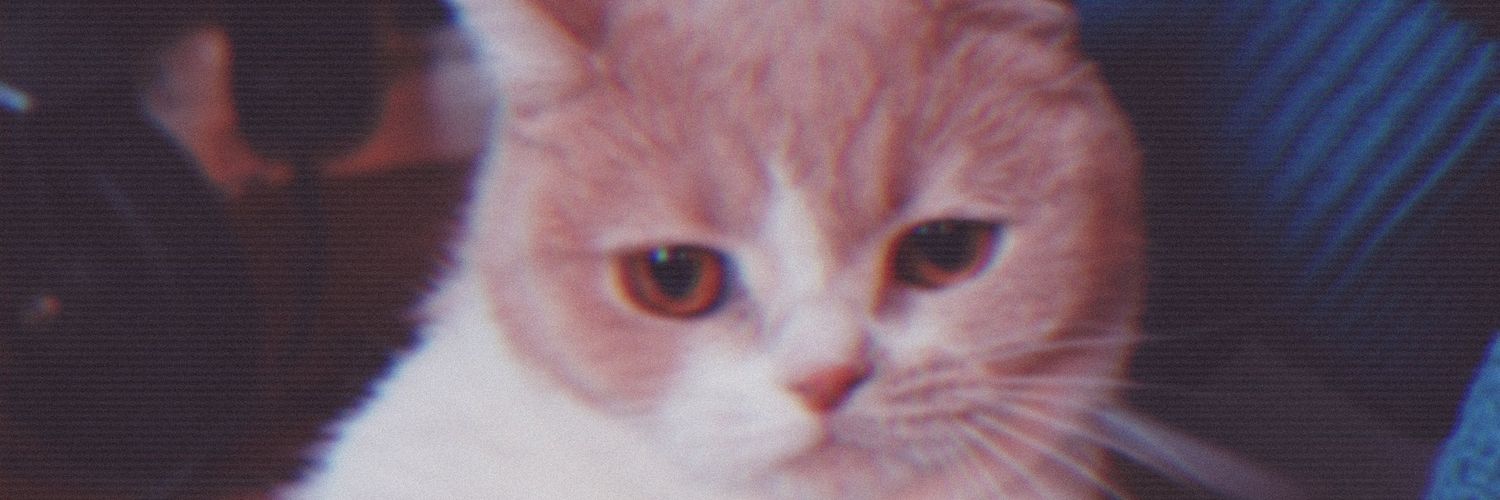 lil_vb7's profile banner image