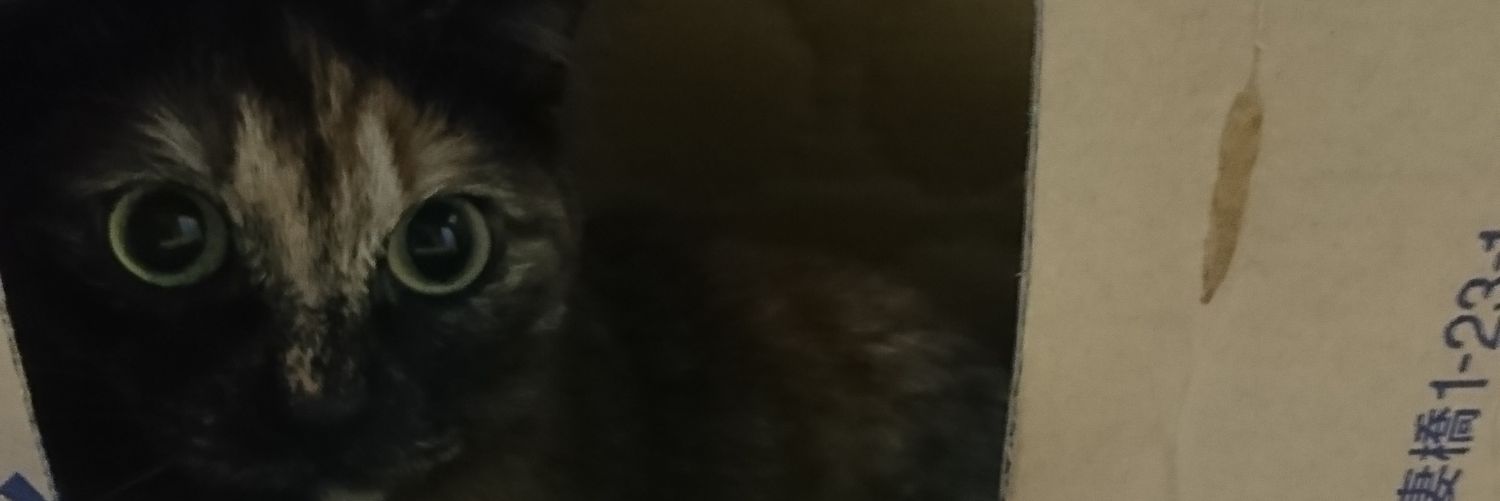 lily04141's profile banner image