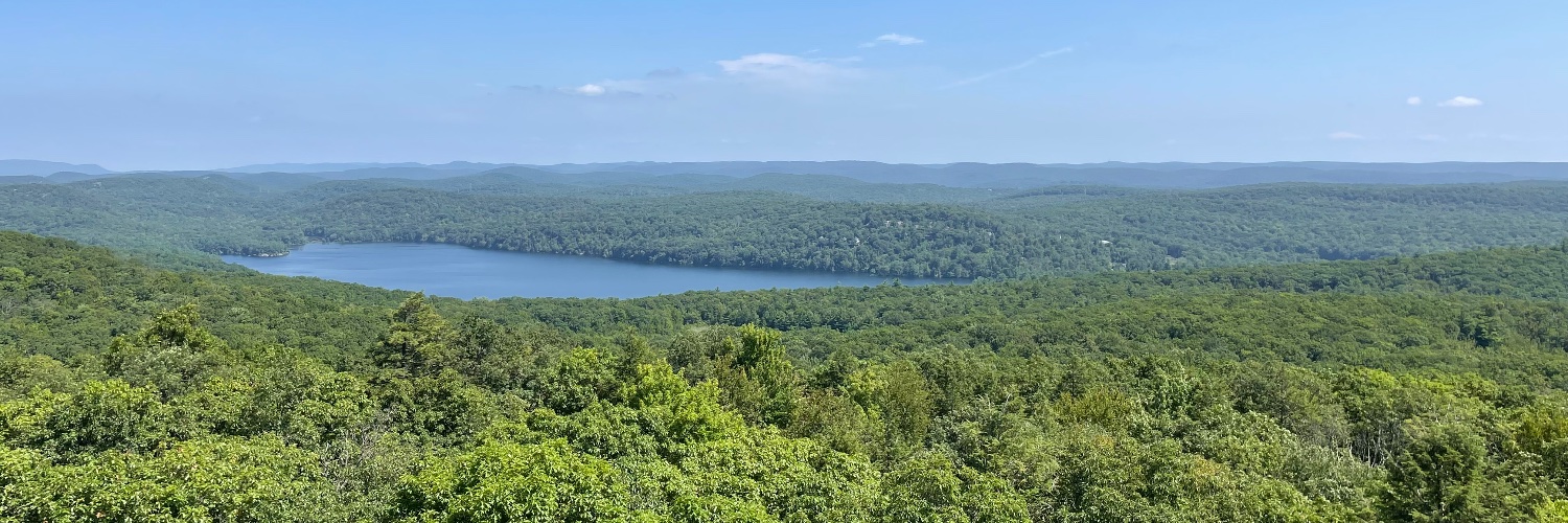 Mahya Fazel-Zarandi banner