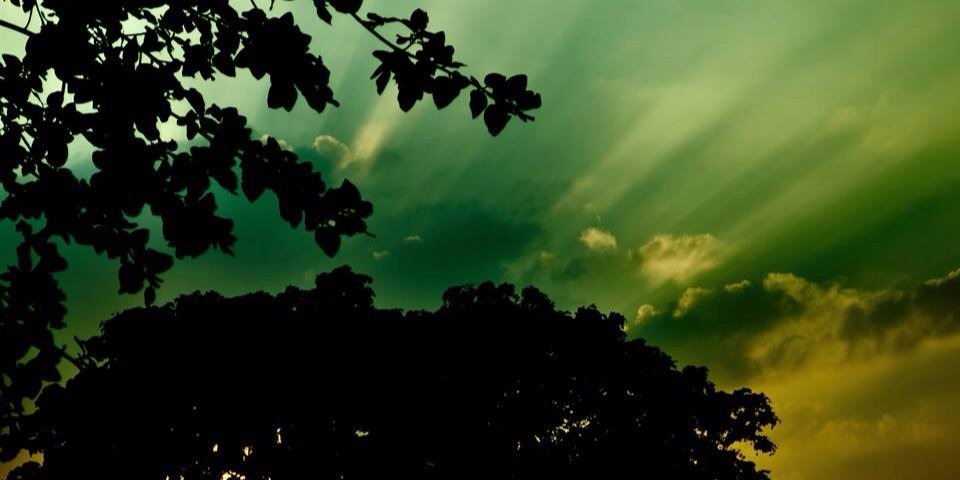 virtushar's profile banner image