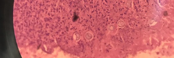 DrJoaquinID Profile Banner