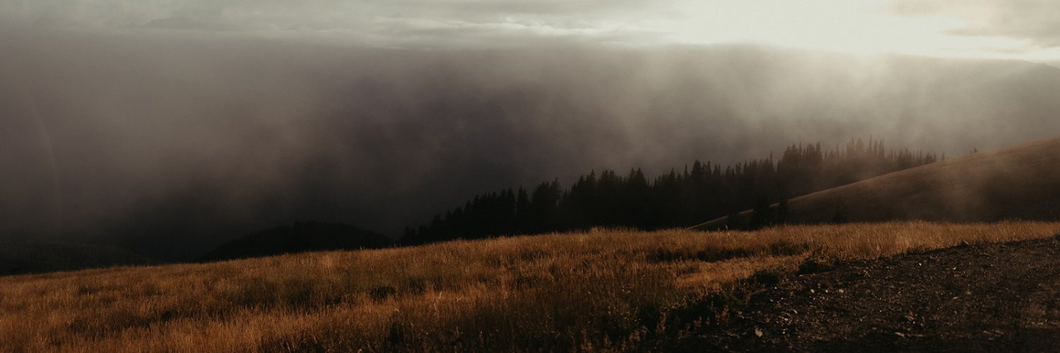 Erica Paperhands banner