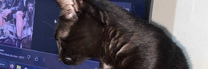 Mwjuan2's profile banner image