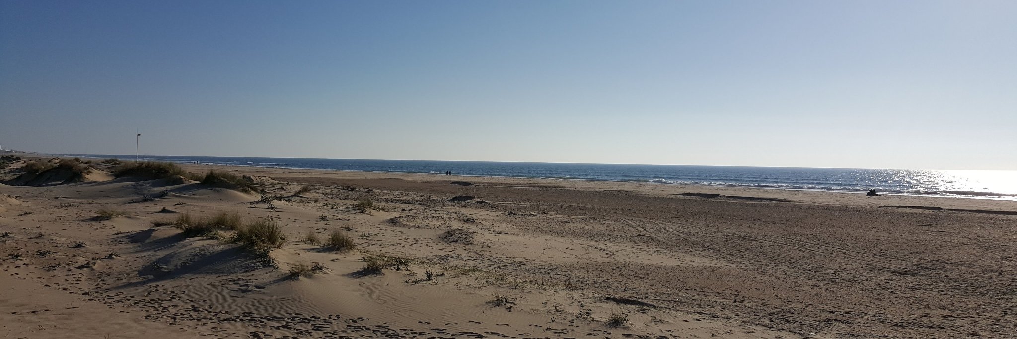 Miguel Ángel Valero Duboy banner