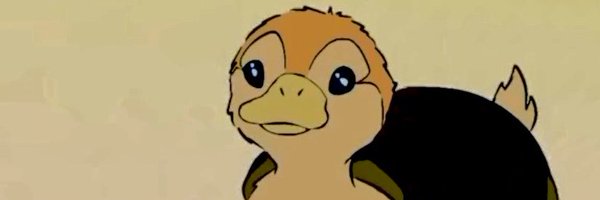 kenna_ald Profile Banner