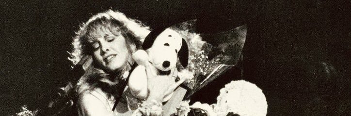 raffaela banner