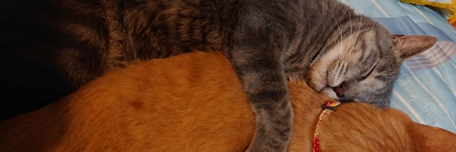 MILK_PG_MAIMAI's profile banner image