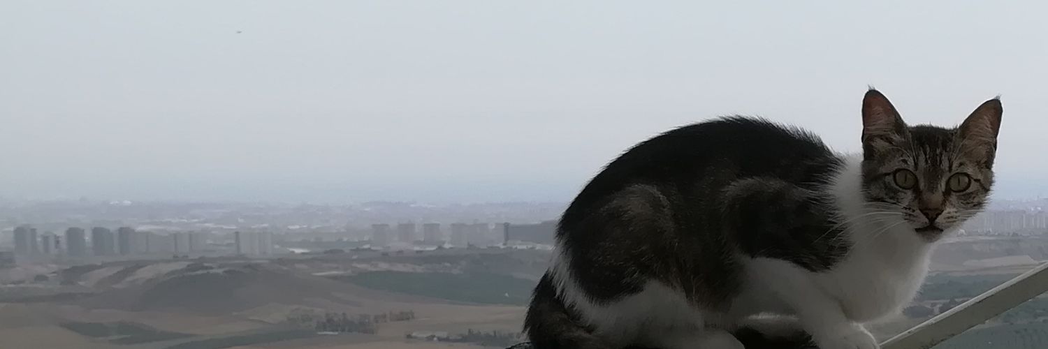 FatihKapplan's profile banner image