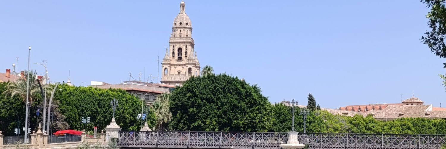 Jose 🍋🔻 banner