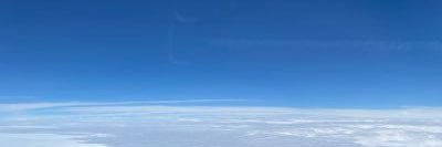 ちゅうりっぷ banner