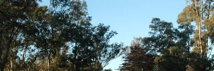 Lud_F27's profile banner image