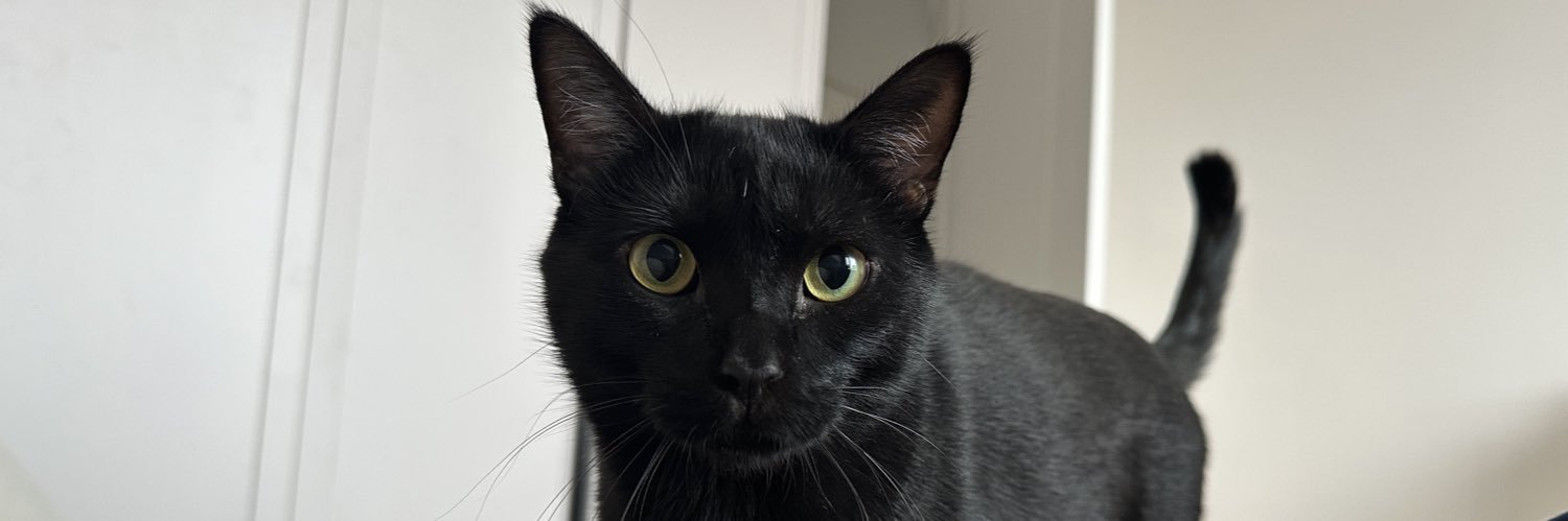 мать порядка 🫰🏽 banner