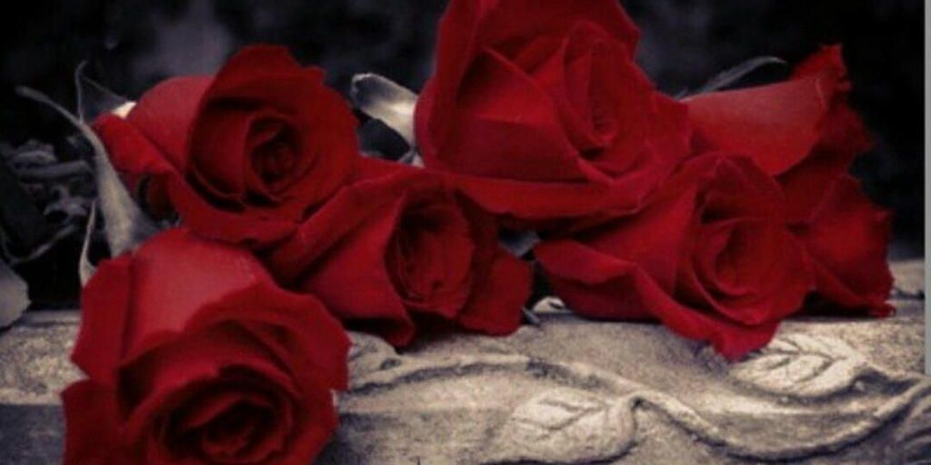 raqi0507827306's profile banner image