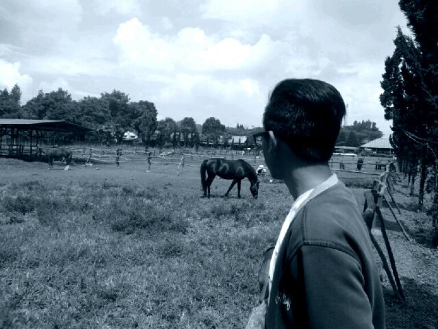 MuhammadArifT's profile banner image