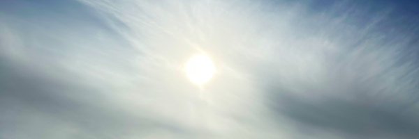 SFTS_rec Profile Banner