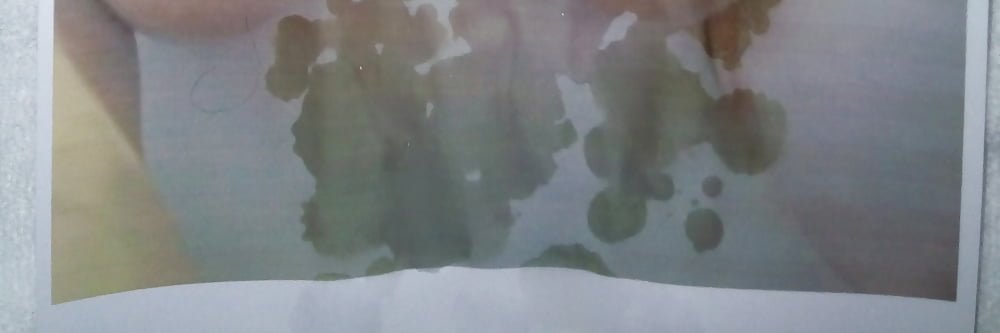 CockTributeBoy banner