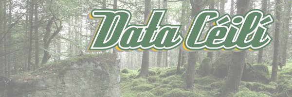 DataCeili Profile Banner