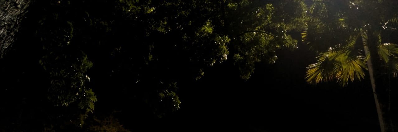 KIKI banner