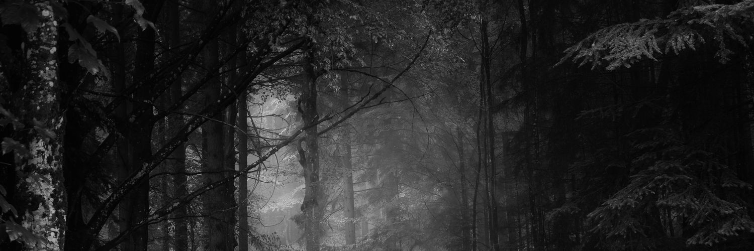 GenericAssE_Boy's profile banner image