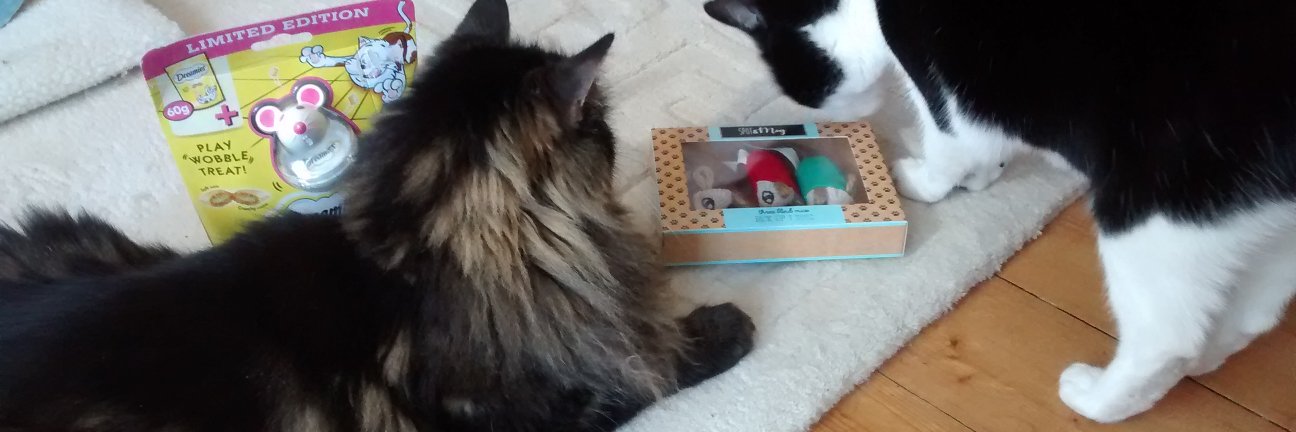 Carolyn, Socks & Marley #rememberingKay banner