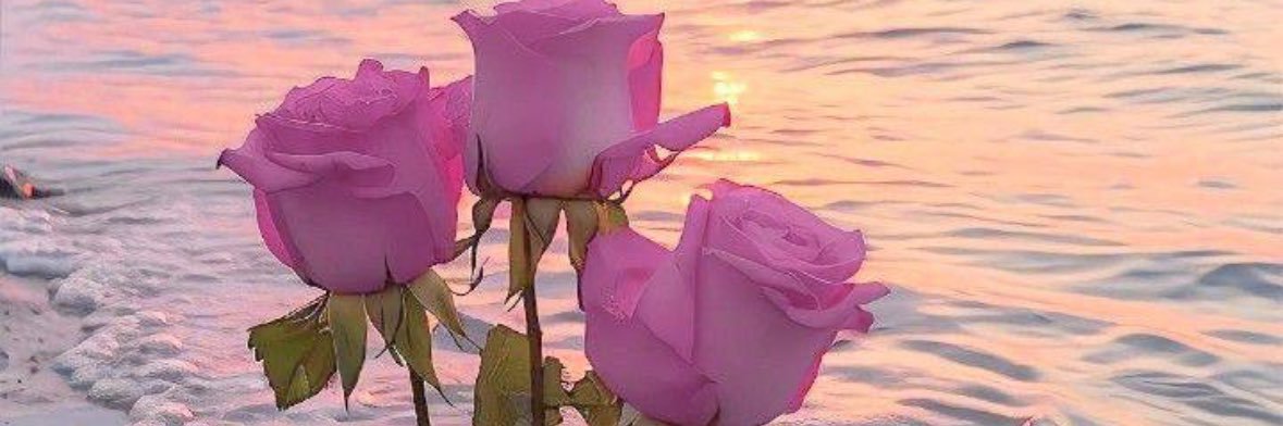Flower_7000's profile banner image