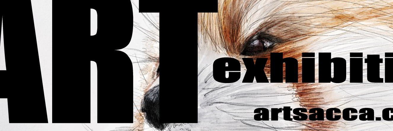 artsacca's profile banner image