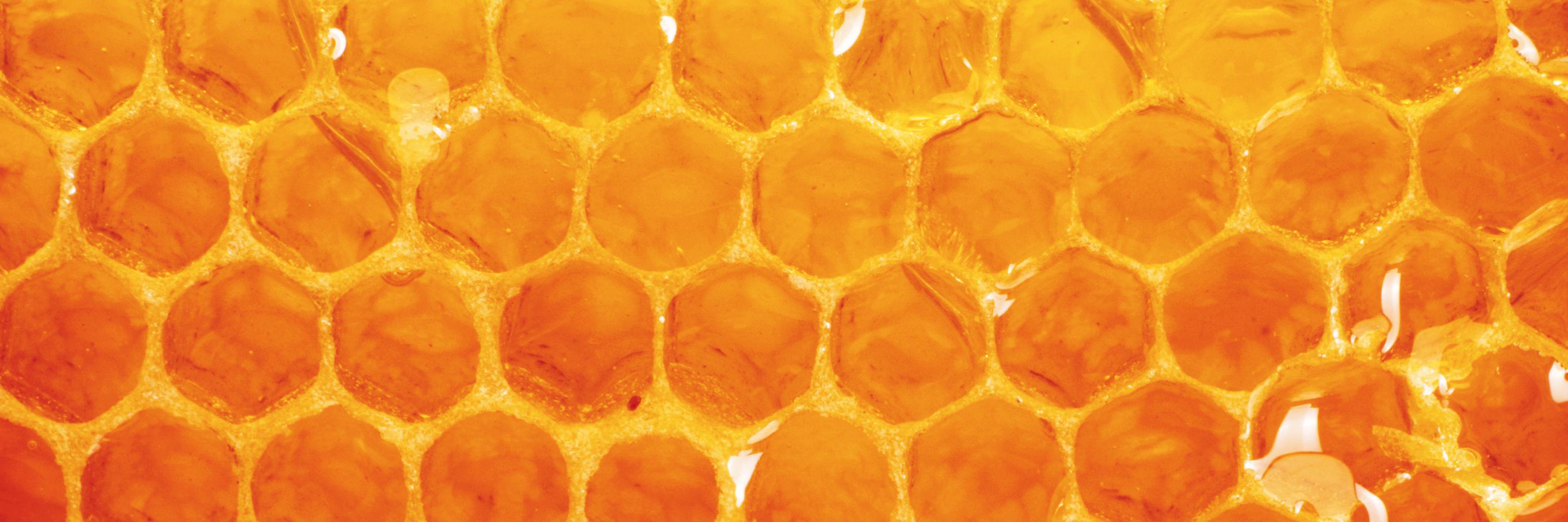 Acumen and Trust banner