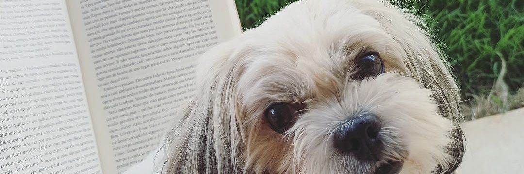 WhosThatNanny's profile banner image