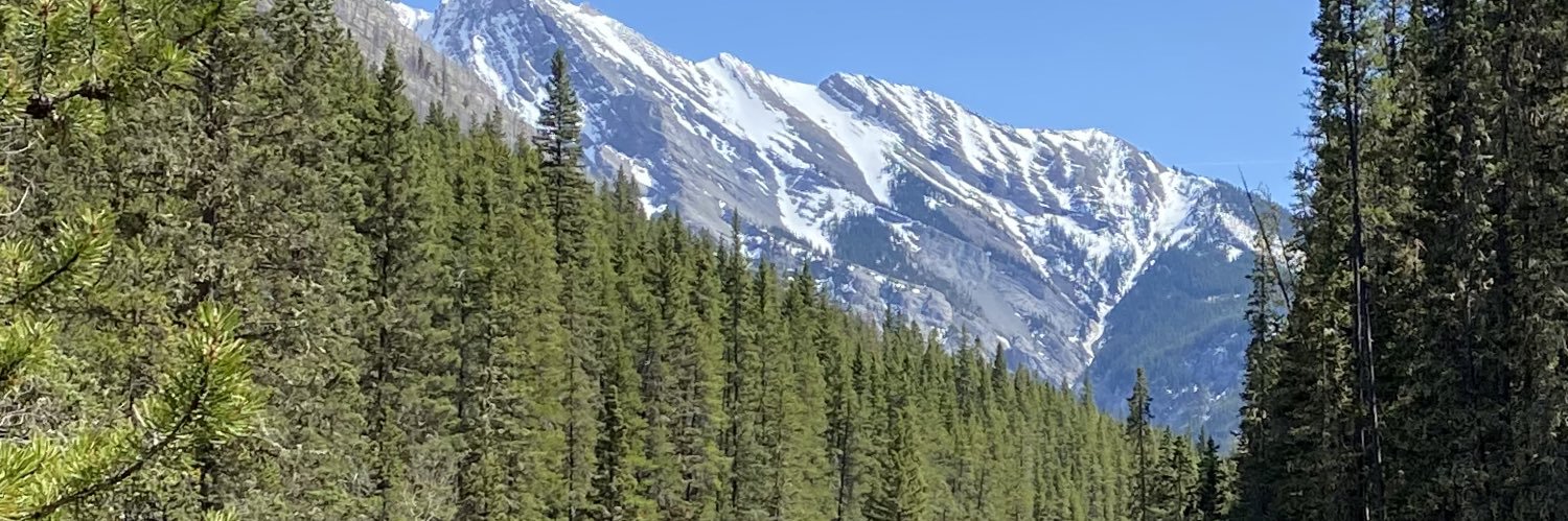 sometallguy2's profile banner image