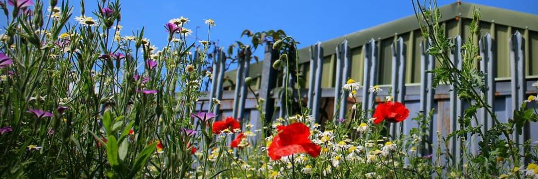 Gee Cee 🏳️‍🌈 banner