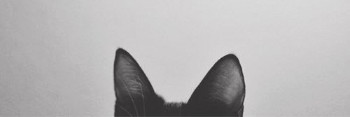 httplparrilla's profile banner image